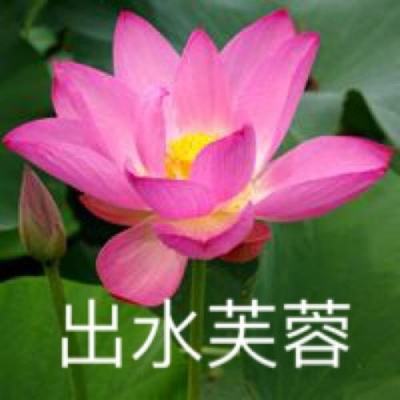 劈子弹最新版下载