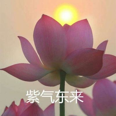 愤怒的刀剑手机版破解版下载